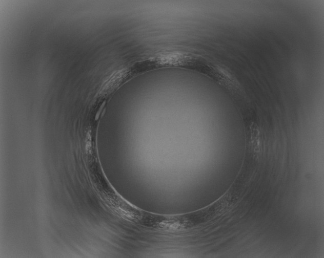 X0000050650502200506151614