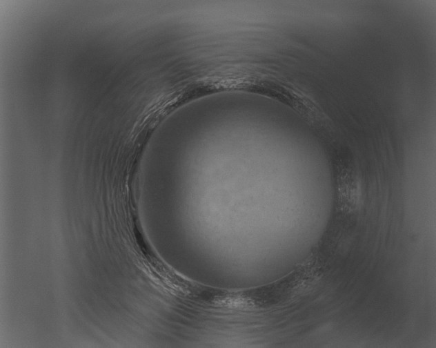 X0000050650503200506151614
