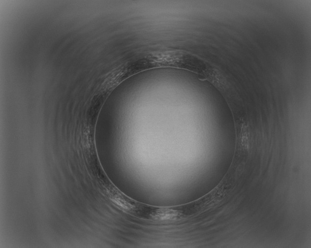 X0000050650514200506151613