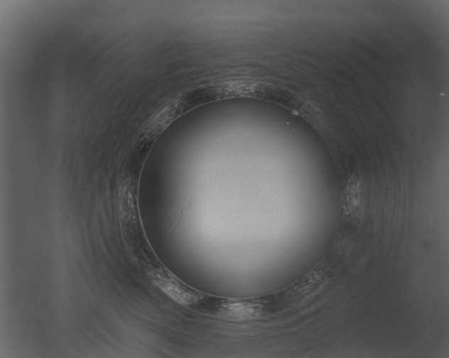 X0000050650522200506151613