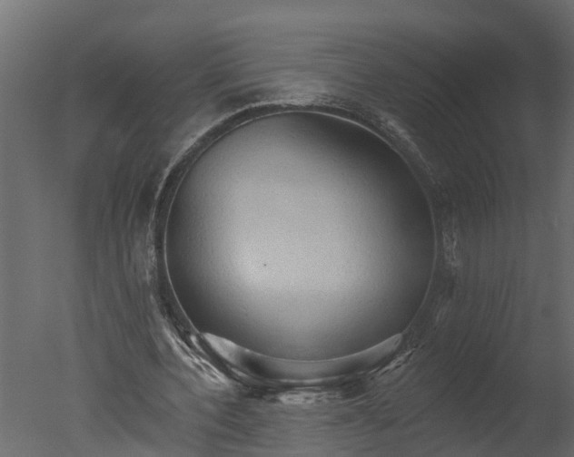X0000050650532200506151612