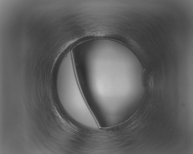 X0000050650540200506151612