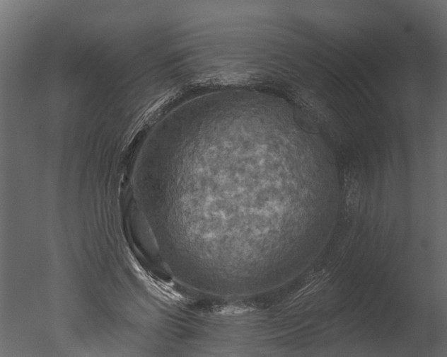 X0000050650542200506151613