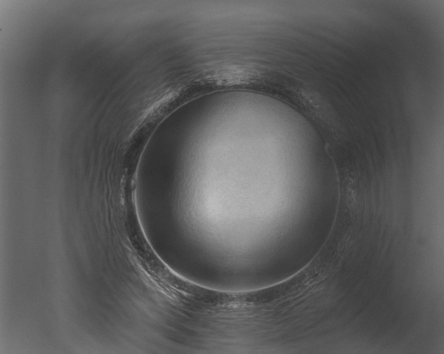 X0000050650543200506151613