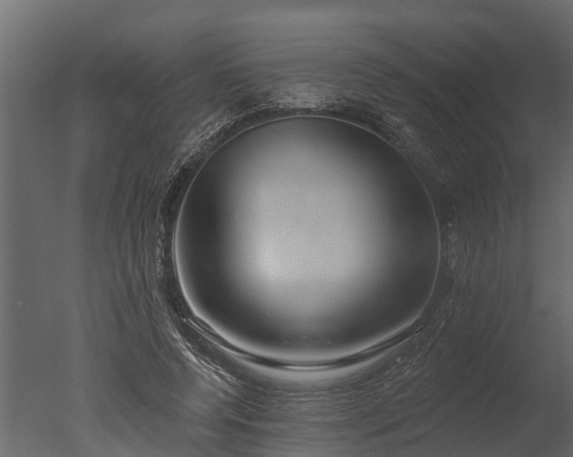 X0000050650544200506151613