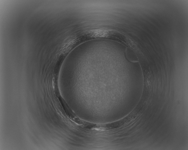 X0000050650551200506151613