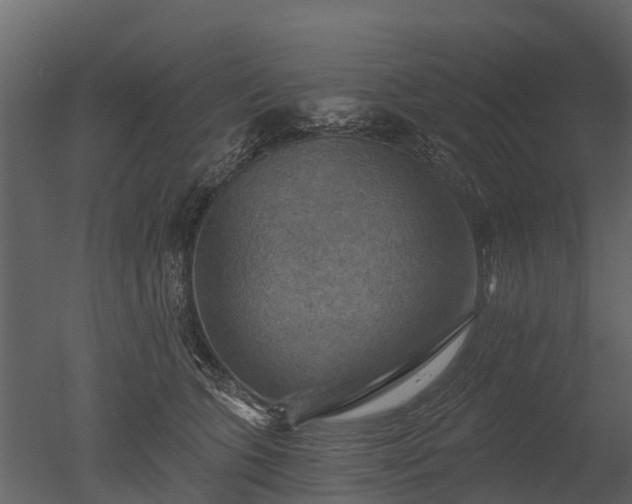 X0000050650563200506151613
