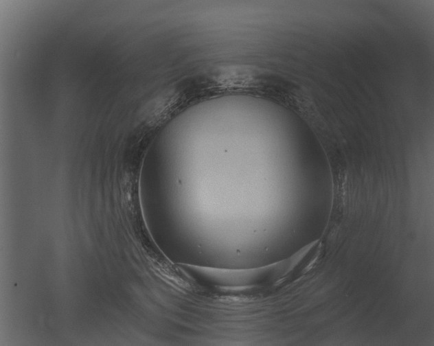 X0000050650567200506151613