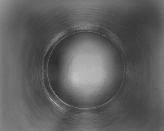X0000050650578200506151612
