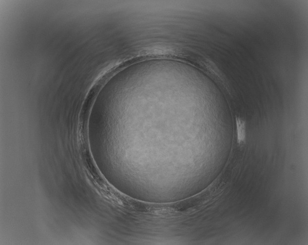 X0000050650579200506151612