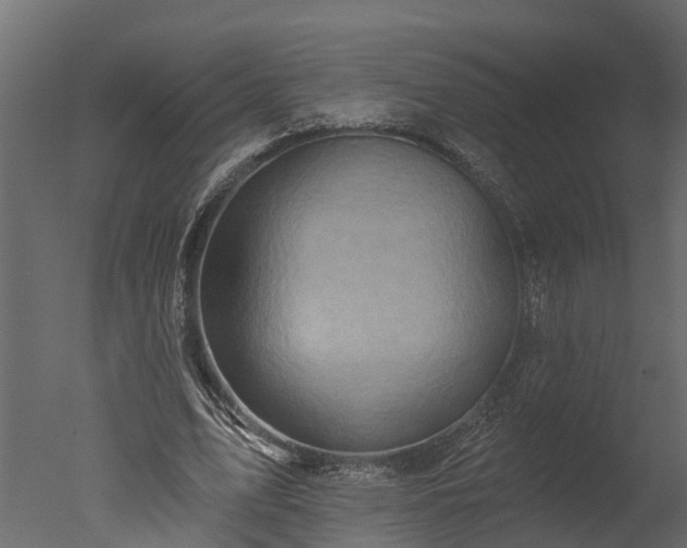 X0000050650583200506151612