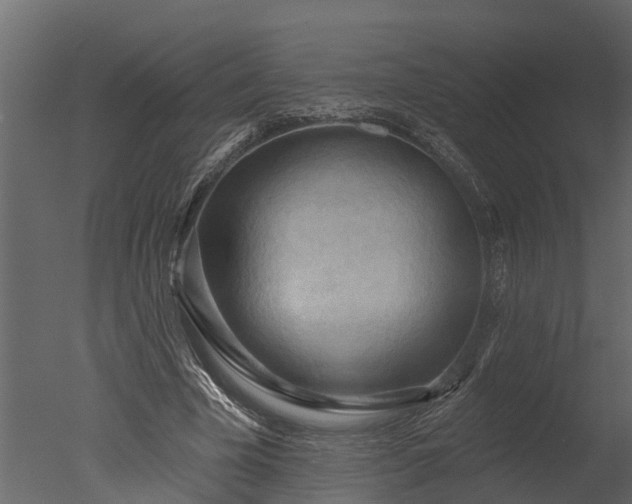 X0000050650585200506151612
