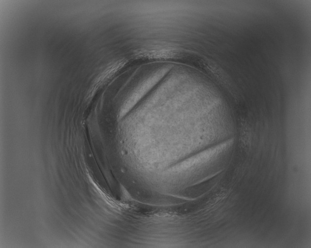 X0000050650586200506151612