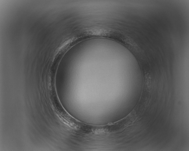 X0000050650587200506151612