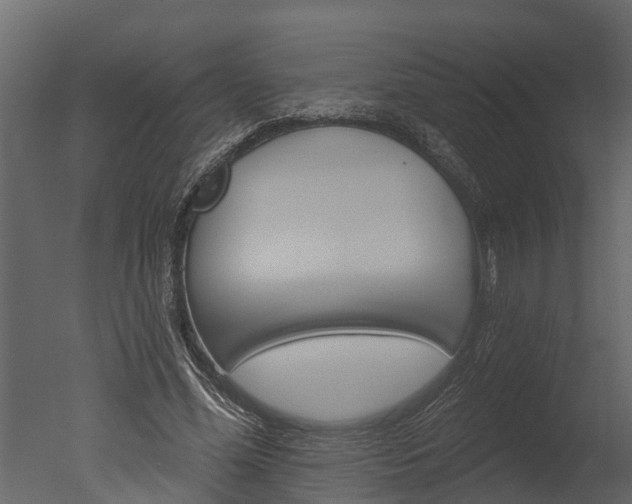 X0000050650588200506151612