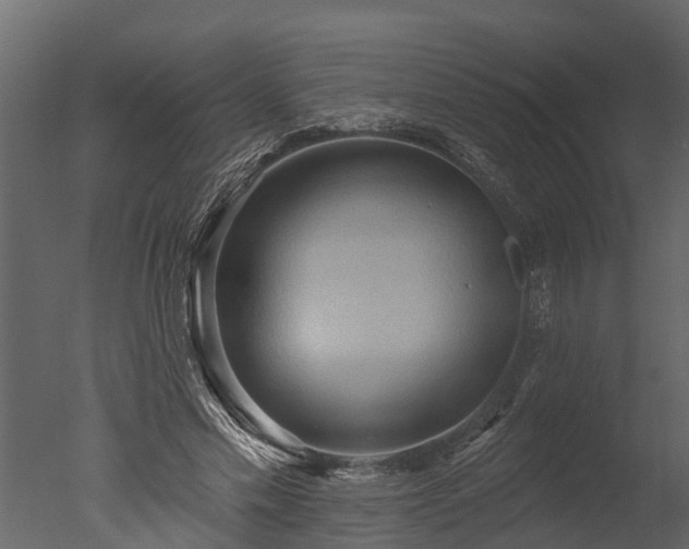 X0000050650589200506151612