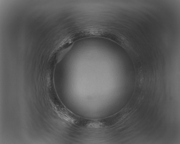 X0000050650595200506151612