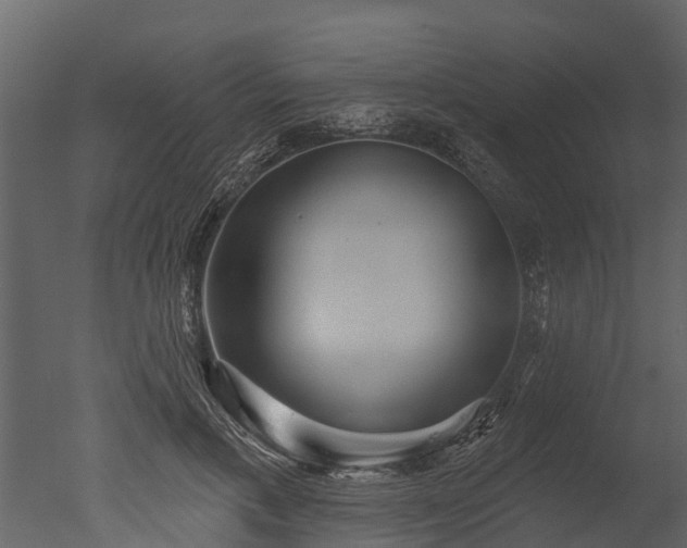 X0000050650597200506151612