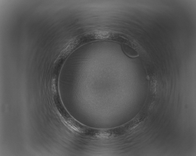 X0000050650598200506151612