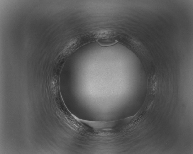 X0000050650601200506151612