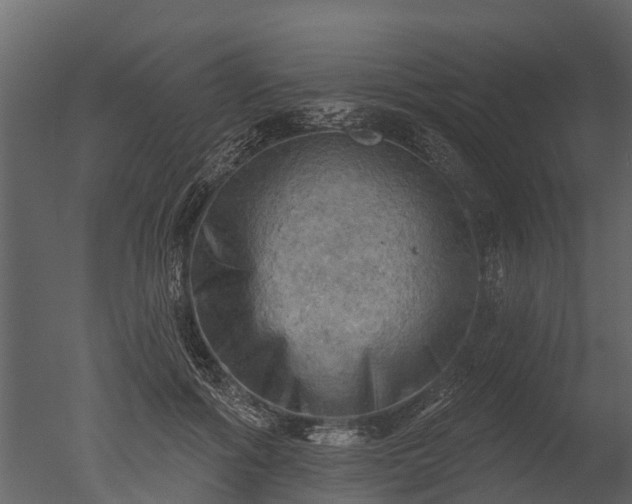 X0000050650602200506151612