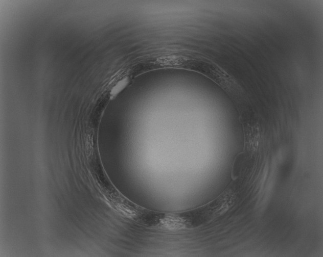 X0000050650603200506151612
