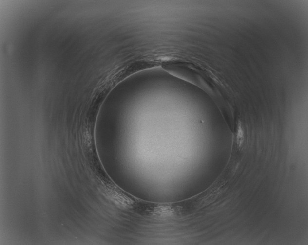X0000050650613200506151612