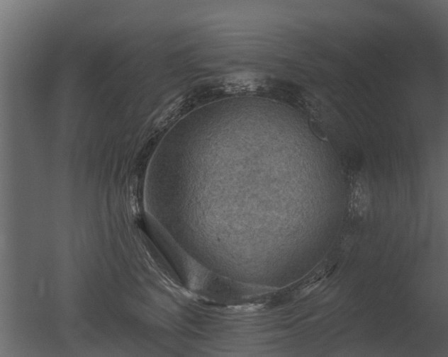 X0000050650616200506151612