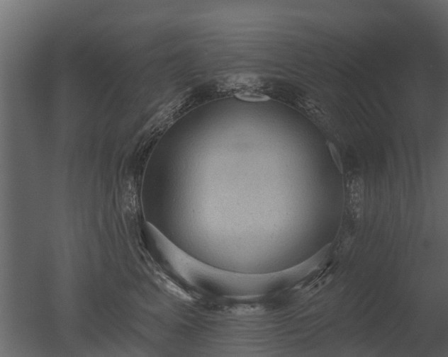 X0000050650617200506151612