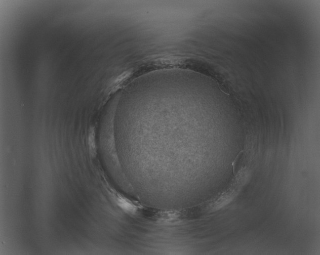 X0000050650624200506151611