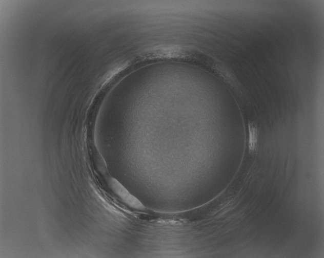 X0000050650627200506151611