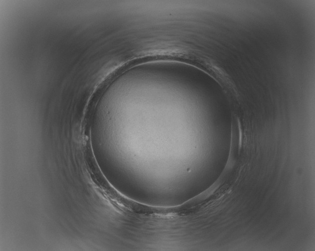 X0000050650628200506151611