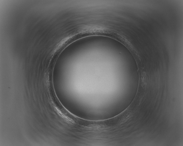 X0000050650629200506151611