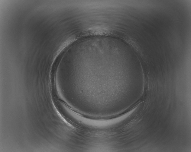 X0000050650630200506151611