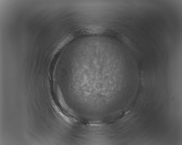 X0000050650634200506151611