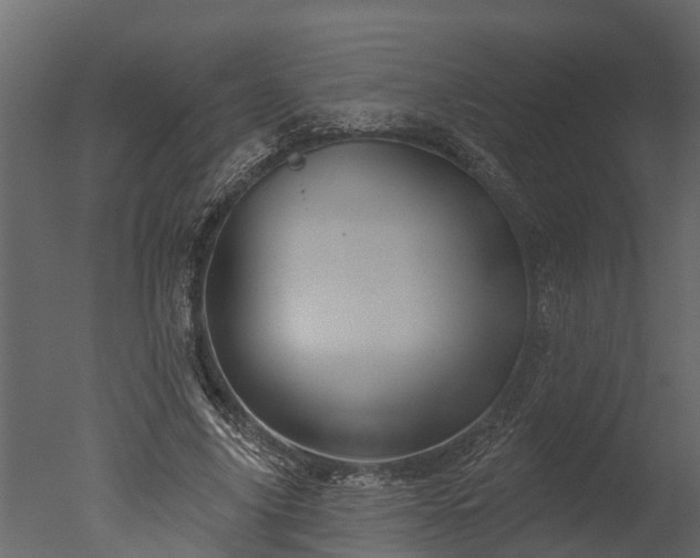X0000050650635200506151611