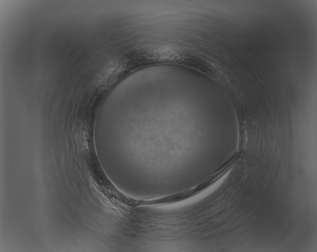 X0000050650643200506151611