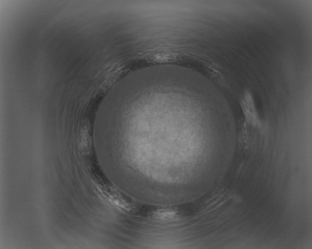 X0000050650651200506151611