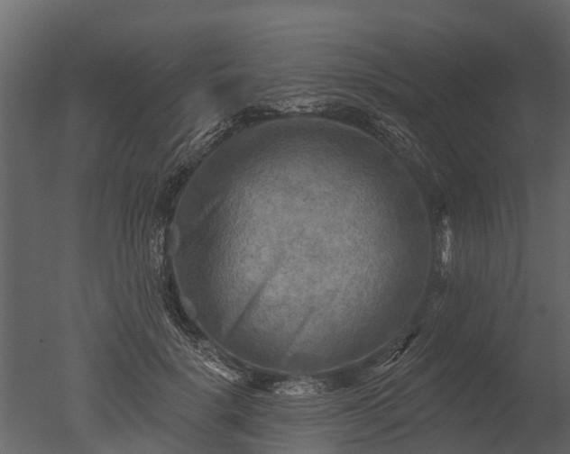 X0000050650652200506151611