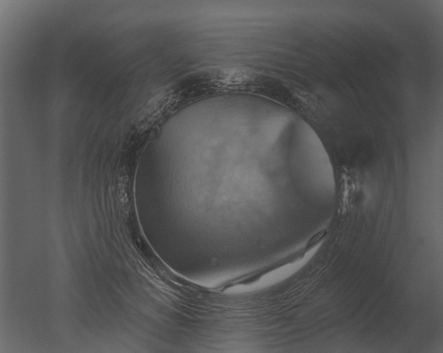 X0000050650654200506151611