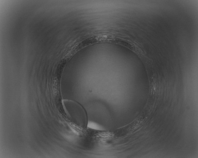X0000050650659200506151611