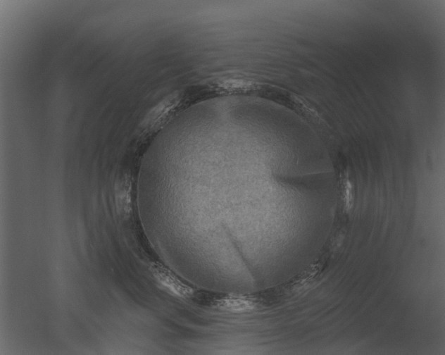 X0000050650668200506151611