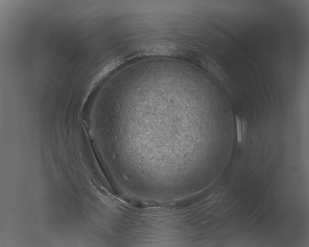 X0000050650675200506151611