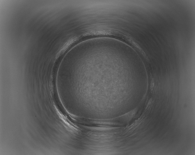 X0000050650677200506151611
