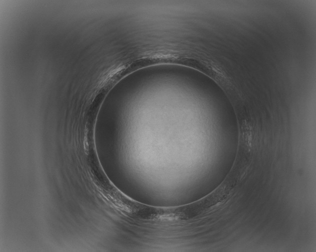 X0000050650692200506151610