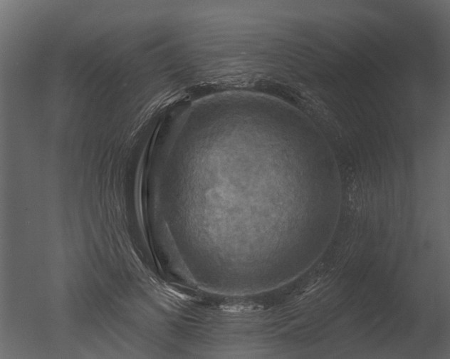 X0000050650693200506151610