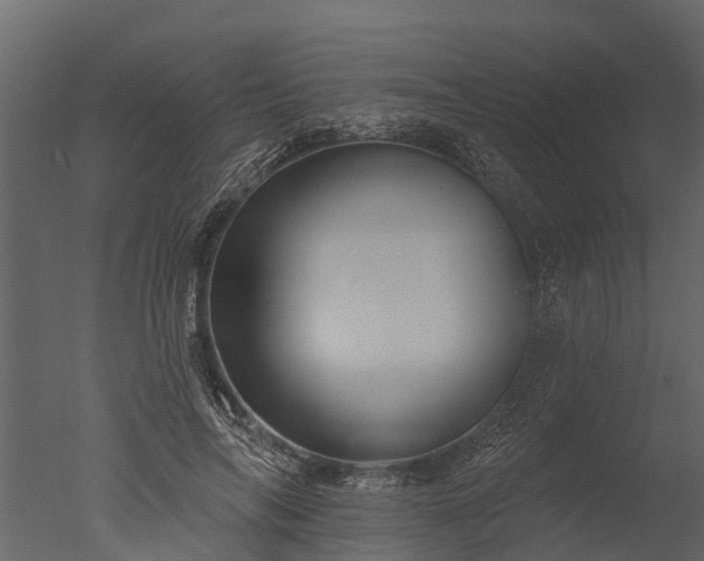 X0000050650694200506151610