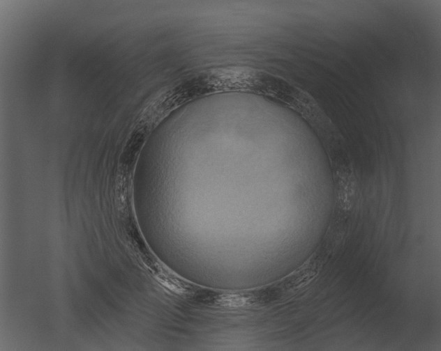 X0000050650701200506151610