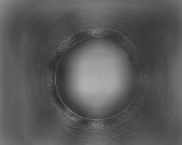 X0000050650702200506151610