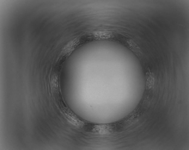 X0000050650713200506151610